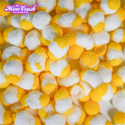 The Freeze-Drying Process: A Sweet Solution For Candy Preservation The Freeze-Drying Process: A Sweet Solution For Candy Preservation